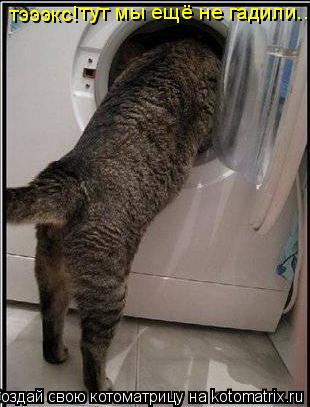 тэээкс! тут мы ещё не гадили..... Котоматрица: тэээкс! тут мы ещё не гадили..