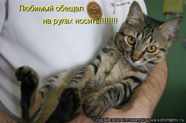 Любимый обещал на руках носить!!!!!!!!... Котоматрица: Любимый обещал на руках носить!!!!!!!!