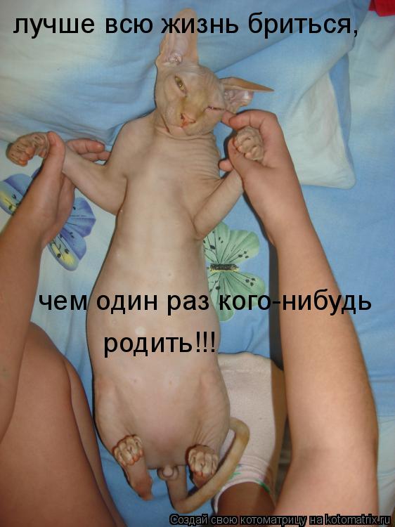 лучше всю жизнь бриться, чем один раз кого-нибудь родить!!!... Котоматрица: лучше всю жизнь бриться, чем один раз кого-нибудь родить!!!