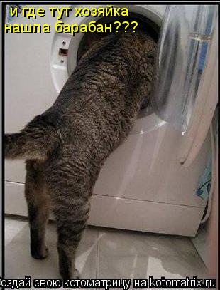 и где тут хозяйка нашла барабан???... Котоматрица: и где тут хозяйка нашла барабан???