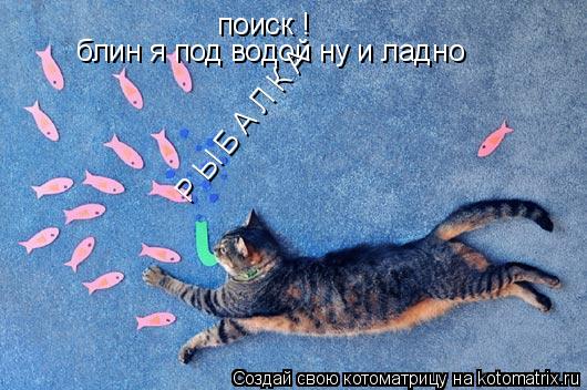 поиск ! блин я под водой ну и ладно Р Ы Б А Л К А... Котоматрица: поиск ! блин я под водой ну и ладно Р Ы Б А Л К А