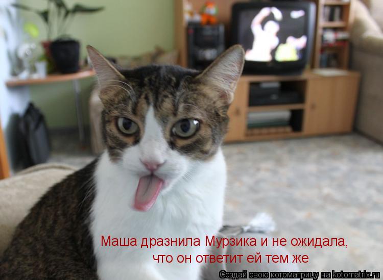 Маша дразнила Мурзика и не ожидала, что он ответит ей тем же... Котоматрица: Маша дразнила Мурзика и не ожидала, что он ответит ей тем же