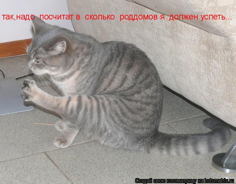 так,надо посчитат в сколько роддомов я должен успеть...... Котоматрица: так,надо посчитат в сколько роддомов я должен успеть...