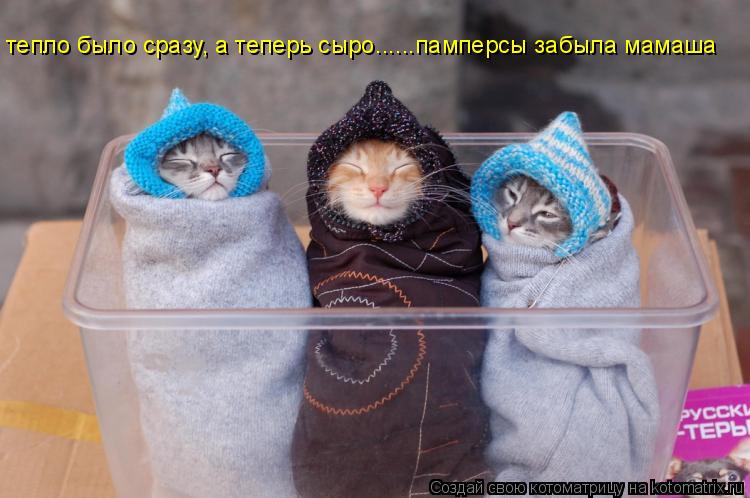 тепло было сразу, а теперь сыро......памперсы забыла мамаша... Котоматрица: тепло было сразу, а теперь сыро......памперсы забыла мамаша
