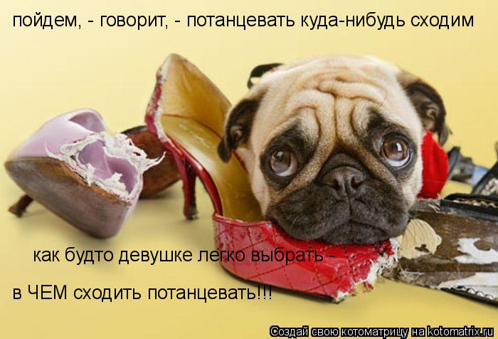 пойдем, - говорит, - потанцевать куда-нибудь сходим как будто девушке легко выбрать - в ЧЕМ сходить п... Котоматрица: пойдем, - говорит, - потанцевать куда-нибудь сходим как будто девушке легко выбрать - в ЧЕМ сходить потанцевать!!!