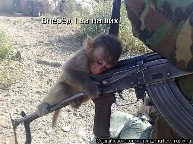 Вперёд ! за наших! Вперёд ! за наших!... Котоматрица: Вперёд ! за наших! Вперёд ! за наших!