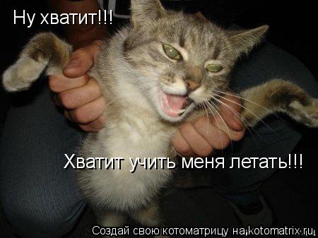 Ну хватит!!! Хватит учить меня летать!!!... Котоматрица: Ну хватит!!! Хватит учить меня летать!!!
