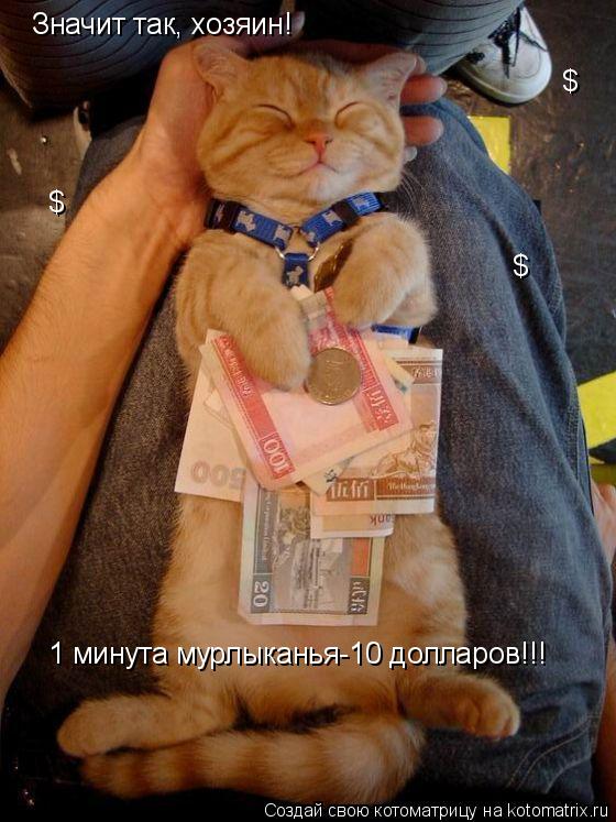 Значит так, хозяин! 1 минута мурлыканья-10 долларов!!! $ $ $... Котоматрица: Значит так, хозяин! 1 минута мурлыканья-10 долларов!!! $ $ $