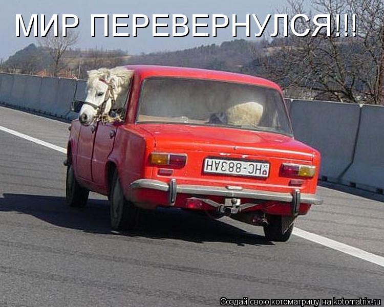 МИР ПЕРЕВЕРНУЛСЯ!!!... Котоматрица: МИР ПЕРЕВЕРНУЛСЯ!!!