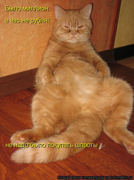 Было миллион , а час не рубля! а час не рубля! не надо было покупать шпроты... Котоматрица: Было миллион , а час не рубля! а час не рубля! не надо было покупать шпроты