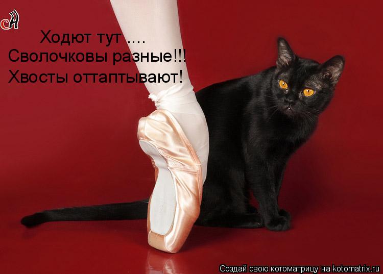 Сволочковы разные!!! Ходют тут .... Хвосты оттаптывают!... Котоматрица: Сволочковы разные!!! Ходют тут .... Хвосты оттаптывают!