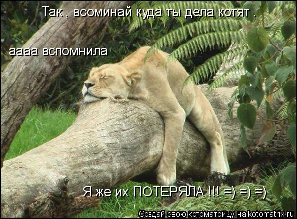 Так , всоминай куда ты дела котят . аааа вспомнила Я же их ПОТЕРЯЛА !!! =) =) =)... Котоматрица: Так , всоминай куда ты дела котят . аааа вспомнила Я же их ПОТЕРЯЛА !!! =) =) =)
