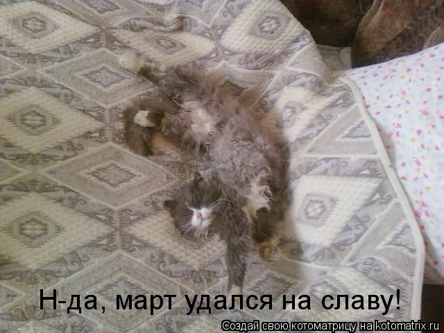 Н-да, март удался на славу!... Котоматрица: Н-да, март удался на славу!