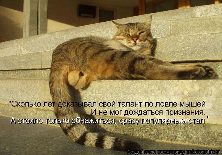 "Сколько лет доказывал свой талант по ловле мышей И не мог дождаться признания. А стоило только обнаж... Котоматрица: "Сколько лет доказывал свой талант по ловле мышей И не мог дождаться признания. А стоило только обнажиться, сразу популярным стал "