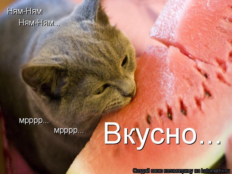 Ням-Ням Ням-Ням... Вкусно... мрррр... мрррр...... Котоматрица: Ням-Ням Ням-Ням... Вкусно... мрррр... мрррр...