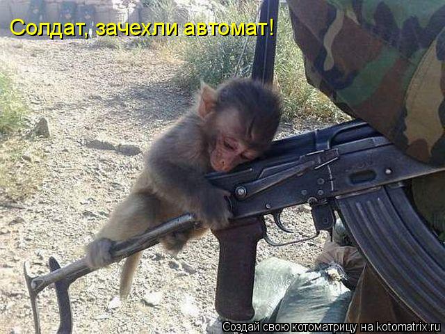 Солдат, зачехли автомат!... Котоматрица: Солдат, зачехли автомат!
