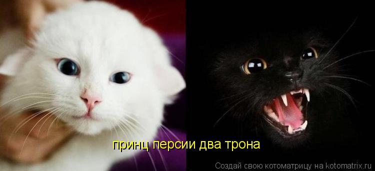 принц персии два трона... Котоматрица: принц персии два трона