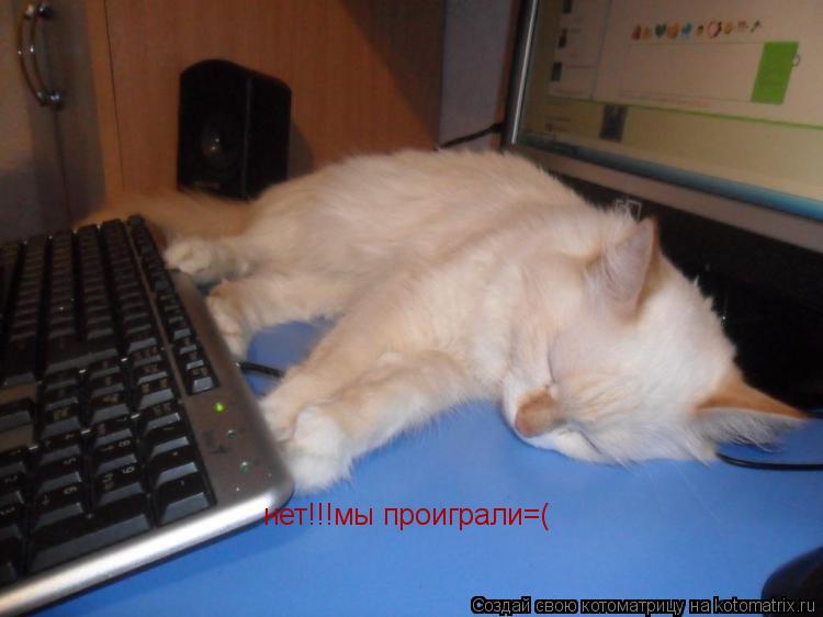 нет!!!мы проиграли=(... Котоматрица: нет!!!мы проиграли=(