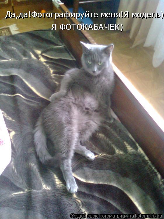 Да,да!Фотографируйте меня!Я модель) Я ФОТОКАБАЧЕК)... Котоматрица: Да,да!Фотографируйте меня!Я модель) Я ФОТОКАБАЧЕК)