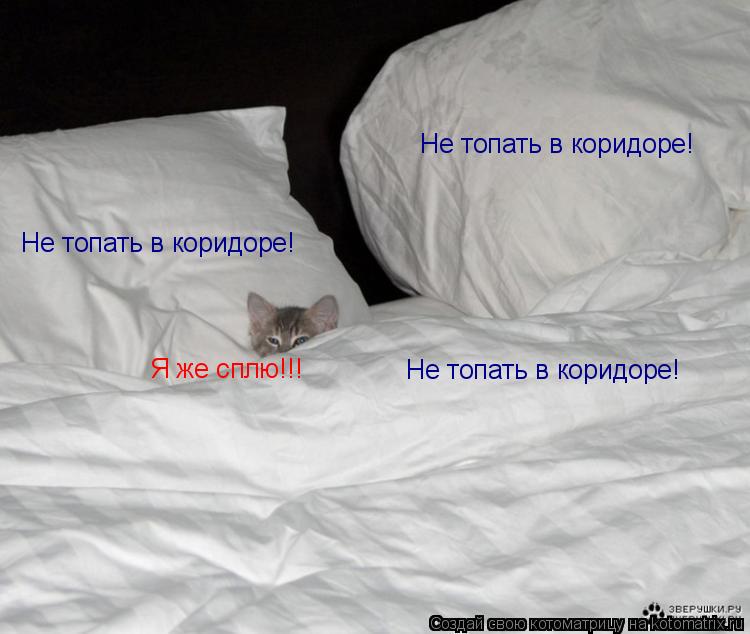 Не топать в коридоре! Не топать в коридоре! Не топать в коридоре! Я же сплю!!!... Котоматрица: Не топать в коридоре! Не топать в коридоре! Не топать в коридоре! Я же сплю!!!