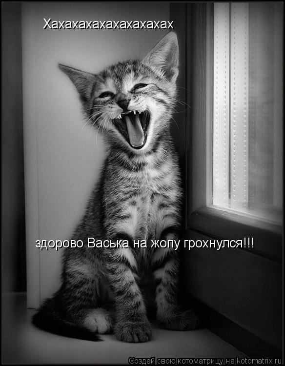Хахахахахахахахахах здорово Васька на жопу грохнулся!!!... Котоматрица: Хахахахахахахахахах здорово Васька на жопу грохнулся!!!