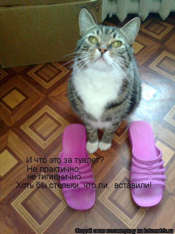 И что это за туалет? Не практично, не гигиенично... Хоть бы стельки, что ли, вставили!... Котоматрица: И что это за туалет? Не практично, не гигиенично... Хоть бы стельки, что ли, вставили!