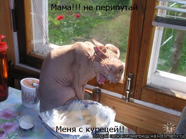 Мама!!! не перипутай Меня с курецей!!... Котоматрица: Мама!!! не перипутай Меня с курецей!!