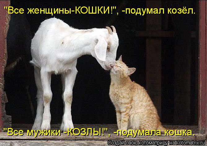 Котоматрица: "Все женщины-КОШКИ!", -подумал козёл. "Все мужики -КОЗЛЫ!", -подумала кошка.