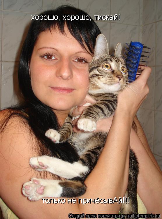 только не причёсывАй!!! хорошо, хорошо, тискай!... Котоматрица: только не причёсывАй!!! хорошо, хорошо, тискай!
