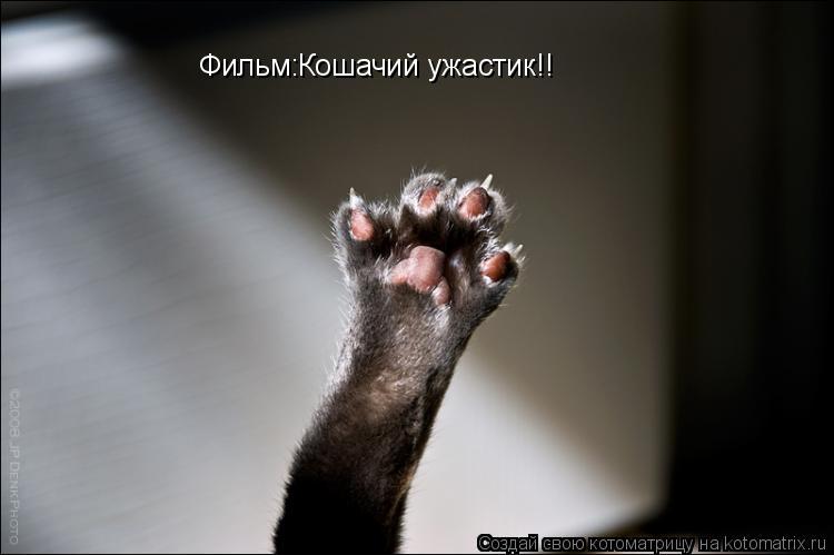 Фильм:Кошачий ужастик!!... Котоматрица: Фильм:Кошачий ужастик!!