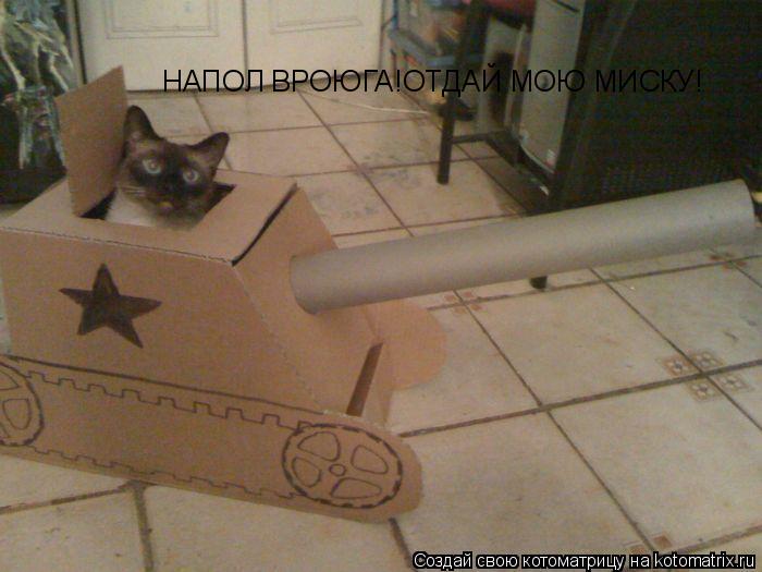 НАПОЛ ВРОЮГА!ОТДАЙ МОЮ МИСКУ!... Котоматрица: НАПОЛ ВРОЮГА!ОТДАЙ МОЮ МИСКУ!