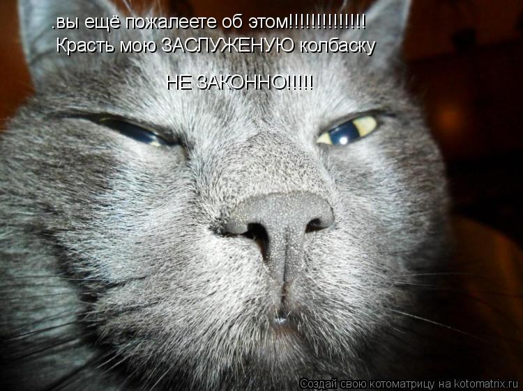 .вы ещё пожалеете об этом!!!!!!!!!!!!!! Красть мою ЗАСЛУЖЕНУЮ колбаску НЕ ЗАКОННО!!!!!... Котоматрица: .вы ещё пожалеете об этом!!!!!!!!!!!!!! Красть мою ЗАСЛУЖЕНУЮ колбаску НЕ ЗАКОННО!!!!!