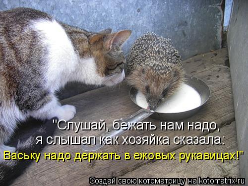 "Слушай, бежать нам надо, я слышал как хозяйка сказала: Ваську надо держать в ежовых рукавицах!"... Котоматрица: "Слушай, бежать нам надо, я слышал как хозяйка сказала: Ваську надо держать в ежовых рукавицах!"