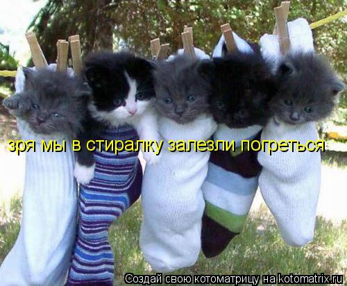 зря мы в стиралку залезли погреться... Котоматрица: зря мы в стиралку залезли погреться
