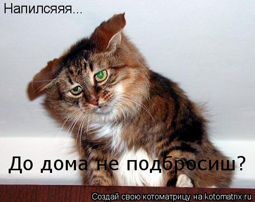 Напилсяяя... До дома не подбросиш?... Котоматрица: Напилсяяя... До дома не подбросиш?