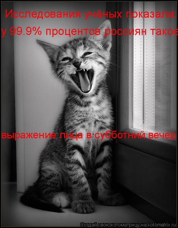 Исследования учёных показали: у 99.9% процентов россиян такое выражение лица в субботний вечер... Котоматрица: Исследования учёных показали: у 99.9% процентов россиян такое выражение лица в субботний вечер