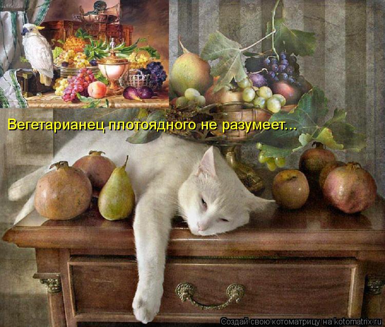 Вегетарианец плотоядного не разумеет...... Котоматрица: Вегетарианец плотоядного не разумеет...