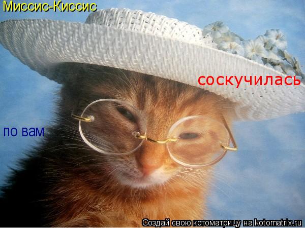 Миссис-Киссис соскучилась по вам... Котоматрица: Миссис-Киссис соскучилась по вам