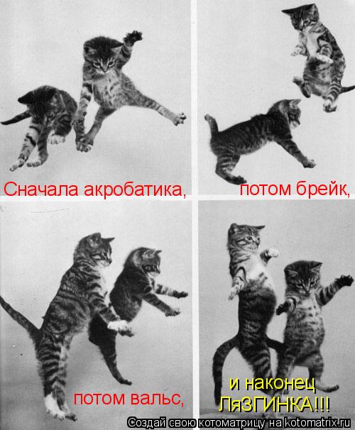 потом брейк, Сначала акробатика, потом вальс, и наконец ЛяЗГИНКА!!!... Котоматрица: потом брейк, Сначала акробатика, потом вальс, и наконец ЛяЗГИНКА!!!