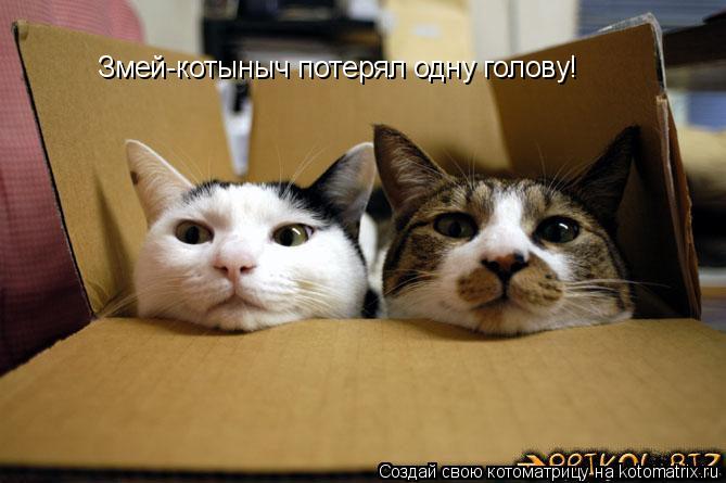Змей-котыныч потерял одну голову! Змей-котыныч потерял одну голову!... Котоматрица: Змей-котыныч потерял одну голову! Змей-котыныч потерял одну голову!