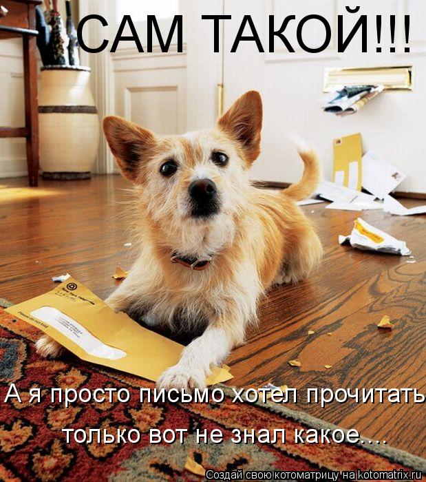 САМ ТАКОЙ!!! А я просто письмо хотел прочитать... только вот не знал какое....... Котоматрица: САМ ТАКОЙ!!! А я просто письмо хотел прочитать... только вот не знал какое....