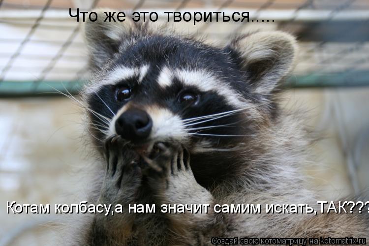 Что же это твориться..... Котам колбасу,а нам значит самим искать,ТАК???... Котоматрица: Что же это твориться..... Котам колбасу,а нам значит самим искать,ТАК???