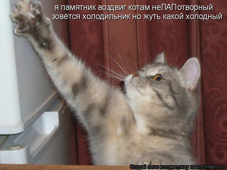 зовётся холодильник но жуть какой холодный я памятник воздвиг котам неЛАПотворный... Котоматрица: зовётся холодильник но жуть какой холодный я памятник воздвиг котам неЛАПотворный