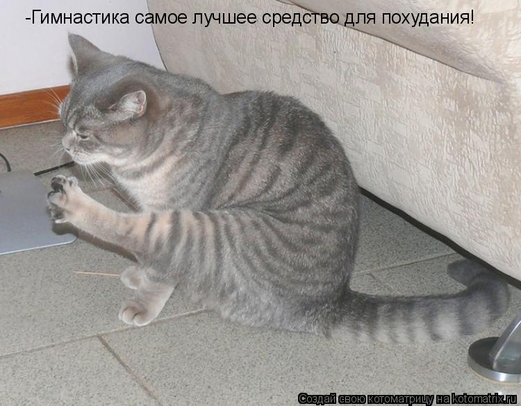 -Гимнастика самое лучшее средство для похудания!... Котоматрица: -Гимнастика самое лучшее средство для похудания!