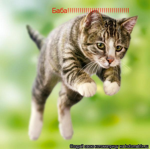 Баба!!!!!!!!!!!!!!!!!!!!!!!!!!!!!!!... Котоматрица: Баба!!!!!!!!!!!!!!!!!!!!!!!!!!!!!!!