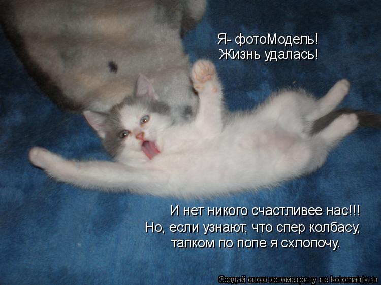Я- фотоМодель! Жизнь удалась! И нет никого счастливее нас!!! Но, если узнают, что спер колбасу, тапко... Котоматрица: Я- фотоМодель! Жизнь удалась! И нет никого счастливее нас!!! Но, если узнают, что спер колбасу, тапком по попе я схлопочу.