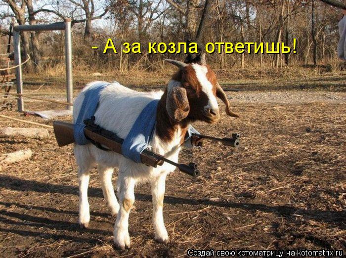 - А за козла ответишь!... Котоматрица: - А за козла ответишь!