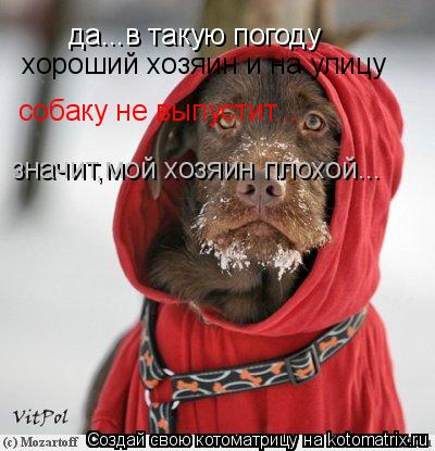да...в такую погоду хороший хозяин и на улицу собаку не выпустит... значит,мой хозяин плохой...... Котоматрица: да...в такую погоду хороший хозяин и на улицу собаку не выпустит... значит,мой хозяин плохой...