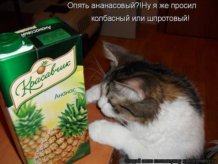 Опять ананасовый?!Ну я же просил колбасный или шпротовый!... Котоматрица: Опять ананасовый?!Ну я же просил колбасный или шпротовый!