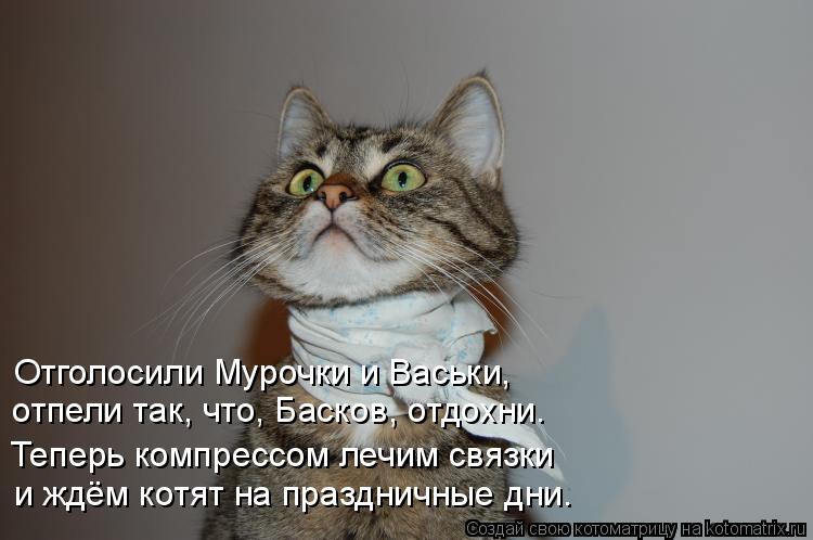Отголосили Мурочки и Васьки, отпели так, что, Басков, отдохни. Теперь компрессом лечим связки и ждём ... Котоматрица: Отголосили Мурочки и Васьки, отпели так, что, Басков, отдохни. Теперь компрессом лечим связки и ждём котят на праздничные дни.